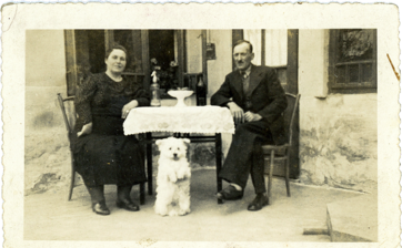ca. 1940 - Hund Zucki